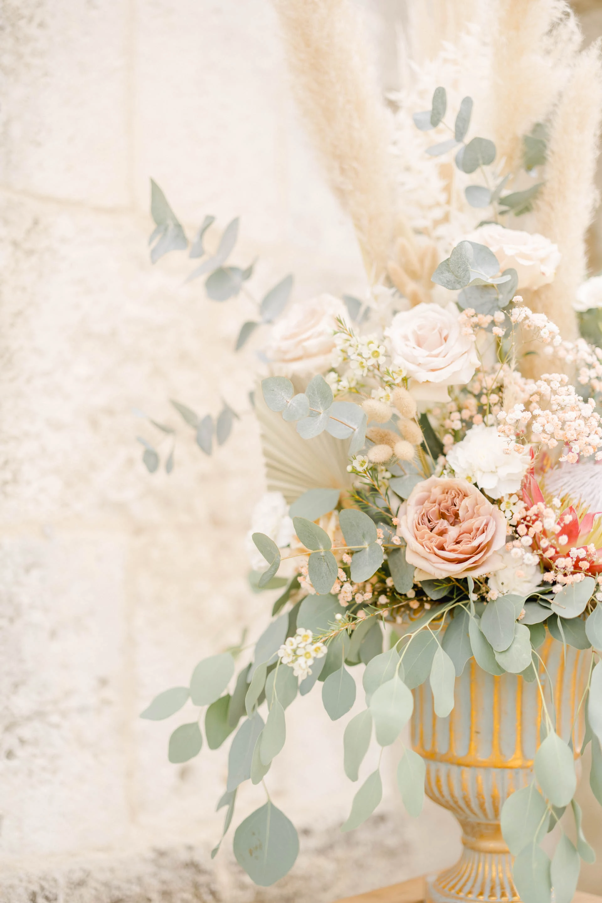 fleur pétale composition florale rose rosiers de jardin